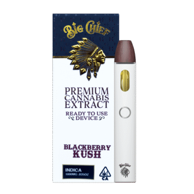 Big Chief Blackberry Kush Disposable 1g indica
