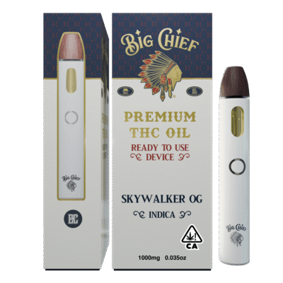 Big Chief Skywalker OG Disposable indica
